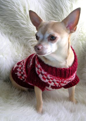 Puppy Love Sweater