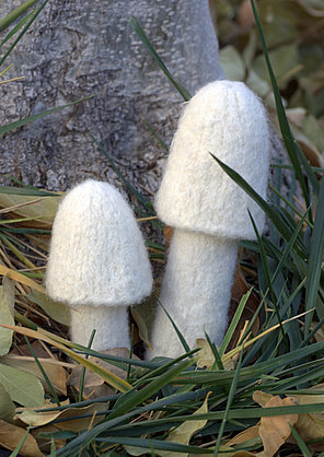 [Image: mushroom6.jpg]