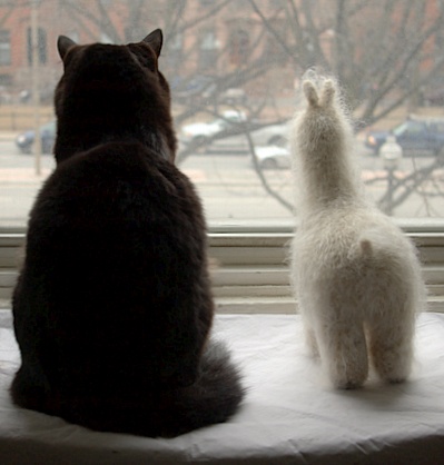 Alpaca sitting next to Baby watching the cars go by.