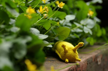 Frolicking in the Garden