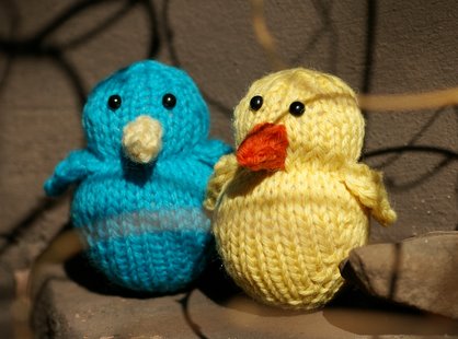 A Bluebird and a Chick