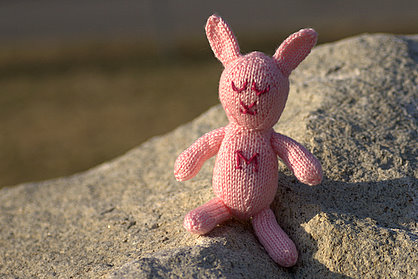 Bunny resting after a hike.