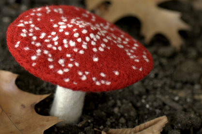 Felted Mushroom - Free Pattern Preview